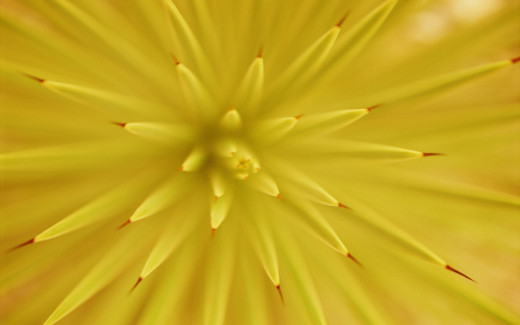 447604 (a): :2560x1600
